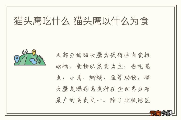 猫头鹰吃什么 猫头鹰以什么为食