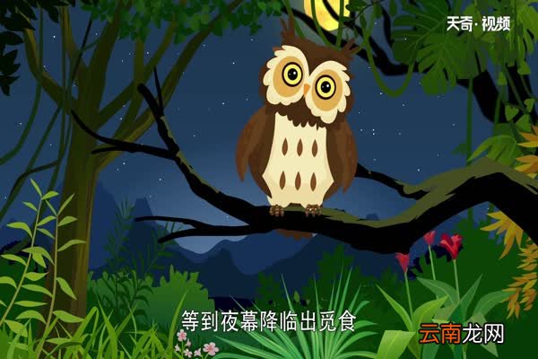猫头鹰吃什么 猫头鹰以什么为食