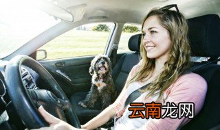 08款奥迪a4大灯清洗怎么开 08款奥迪a4大灯清洗开关在哪里