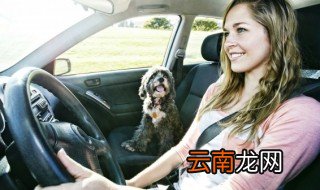 奥迪车尾ats是什么意思 汽车后面at是什么意思