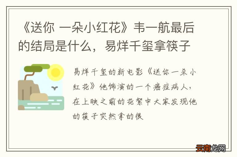 《送你 一朵小红花》韦一航最后的结局是什么，易烊千玺拿筷子细是什么意思