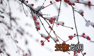 梦见白雪是什么预兆 梦见白雪是什么意思