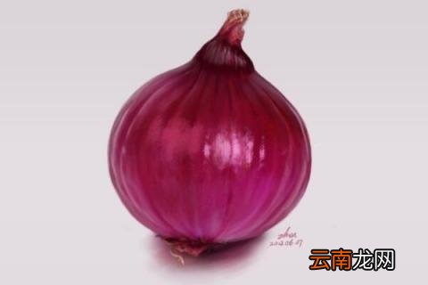 洋葱发芽了怎么种