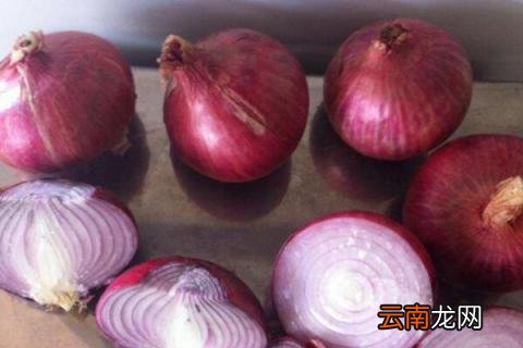 洋葱发芽了怎么种