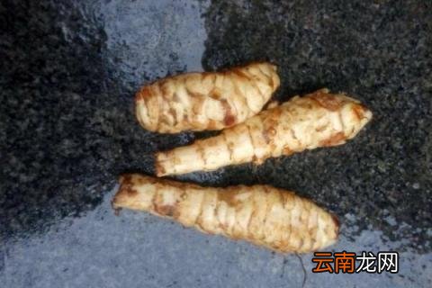 洋姜几月份种植