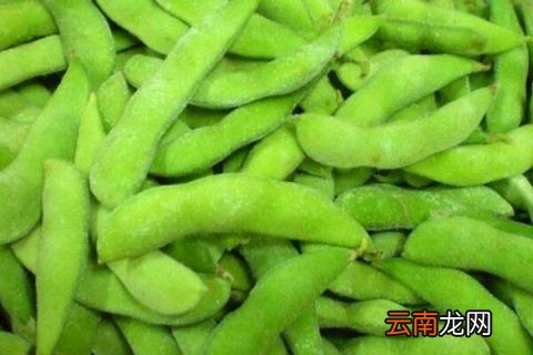 清明前后种什么蔬菜