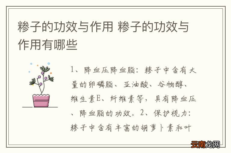 糁子的功效与作用 糁子的功效与作用有哪些