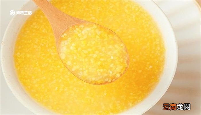 糁子的功效与作用 糁子的功效与作用有哪些