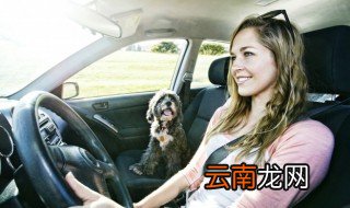 奥迪的a是什么 奥迪汽车a和m是什么意思啊