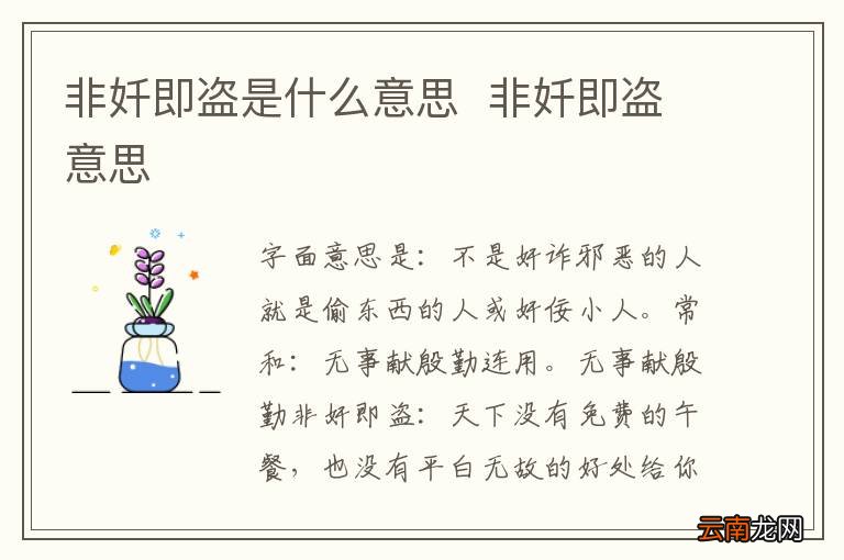 非奷即盗是什么意思非奷即盗意思