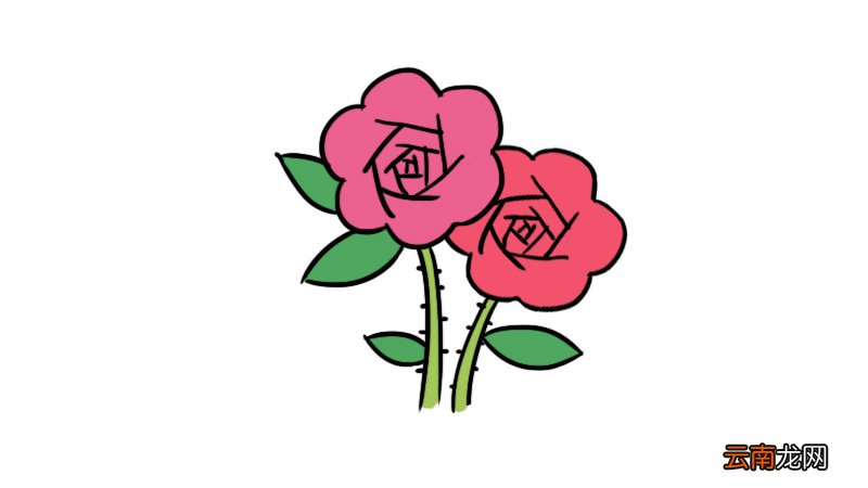 花卉简笔画