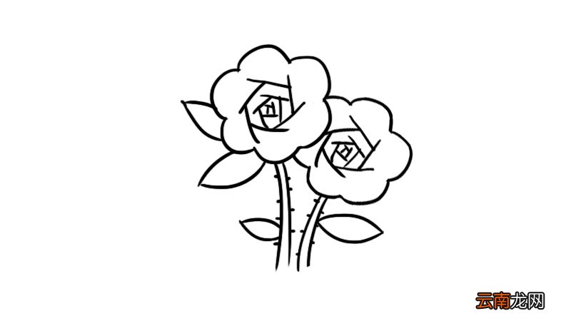 花卉简笔画