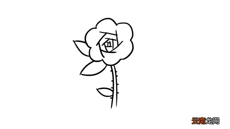 花卉简笔画