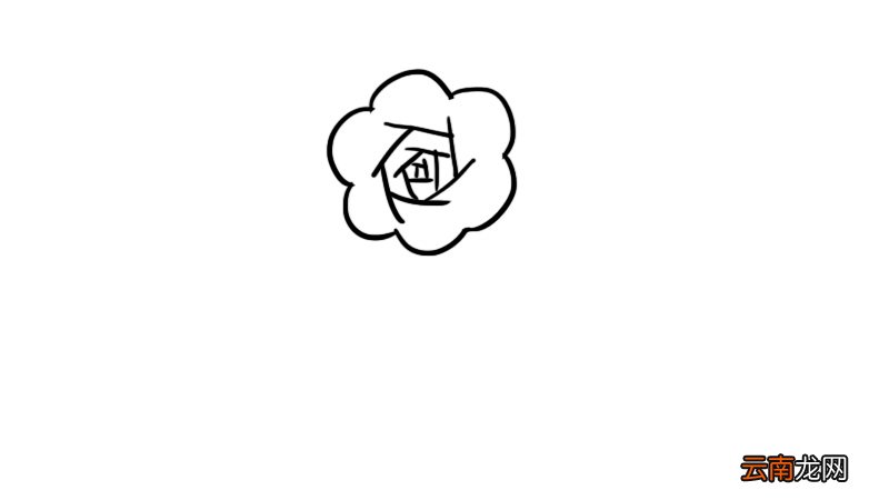 花卉简笔画