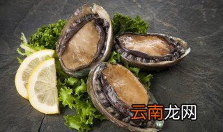 鲍鱼蒸鸡蛋的做法，鲍鱼蒸鸡蛋最简单的做法