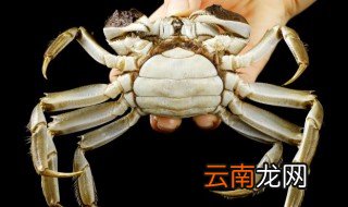 螃蟹如何长时间保存方法 螃蟹如何长期保存方法