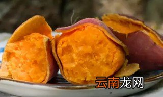 地瓜可以放冰箱保存吗 地瓜能放冰箱保存吗