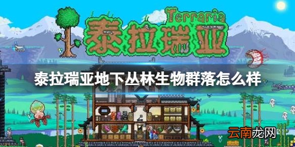 泰拉瑞亚地下丛林生物群落怎么样 泰拉瑞亚地下丛林环境介绍