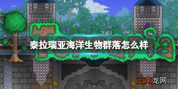 泰拉瑞亚海洋生物群落怎么样 泰拉瑞亚海洋环境介绍