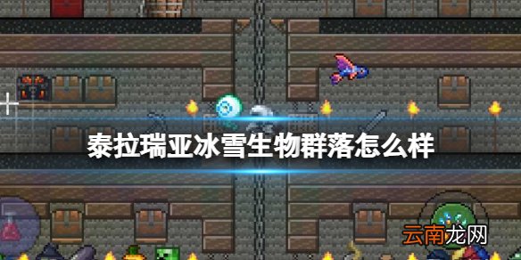 泰拉瑞亚冰雪生物群落怎么样 泰拉瑞亚冰雪环境介绍