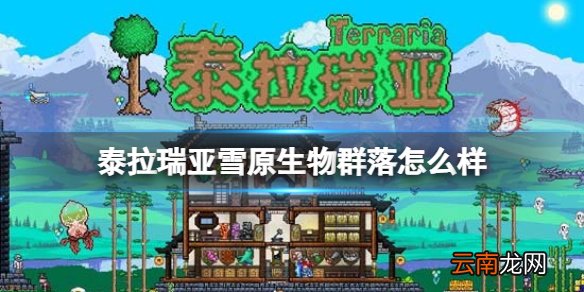 泰拉瑞亚雪原生物群落怎么样 泰拉瑞亚雪原环境介绍