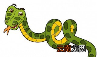 孕妇梦到大蟒蛇是什么意思吃人 孕妇梦到大蟒蛇是什么意思