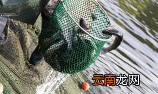 养殖用饲料注意事项 饲料生产注意事项