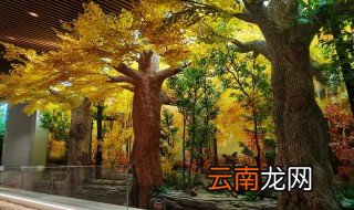 仿真银杏树放客厅可以吗 仿真银杏树放在家里哪个位置好