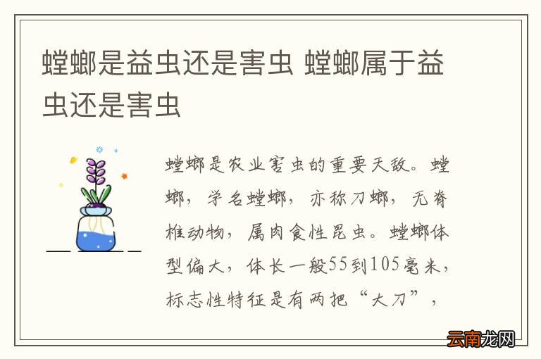 螳螂是益虫还是害虫 螳螂属于益虫还是害虫
