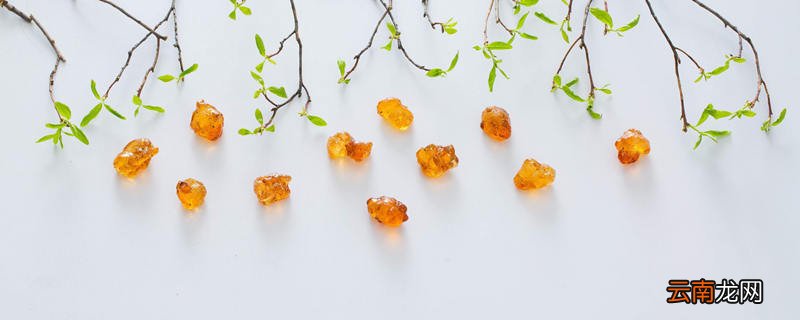 阿拉伯胶是什么东西 阿拉伯胶的用途