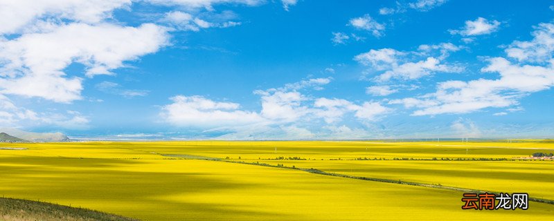 西域现在是中国哪个省 西域现在是中国的哪里