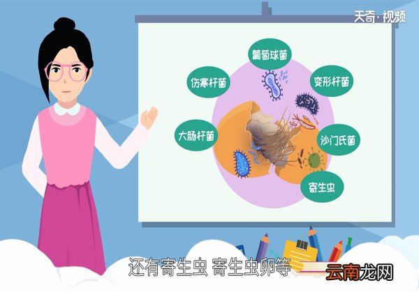毛蛋可以吃吗