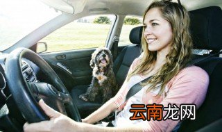 奥迪车上的档位是什么意思，奥迪车的档位介绍