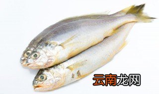 胖头鱼怎么烤才好吃，烤胖头鱼的做法大全
