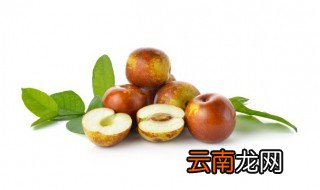 新鲜青枣的保存方法 新鲜的青枣怎么保存