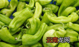 海椒怎么保存方法 海椒怎么存放