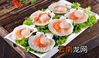 鲜红贝的保存方法 鲜贝怎么保存方法