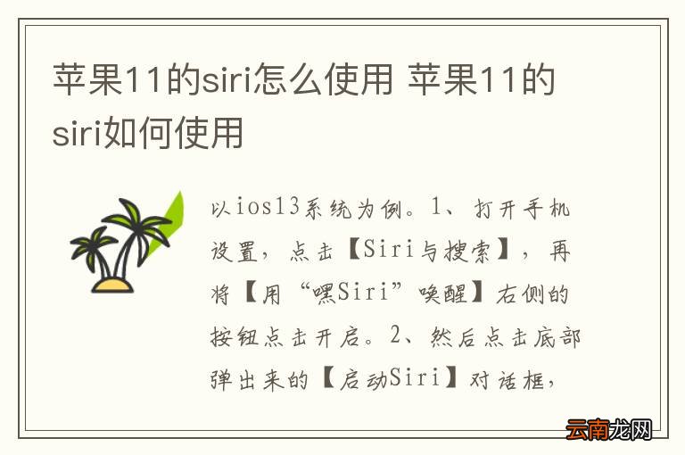苹果11的siri怎么使用 苹果11的siri如何使用