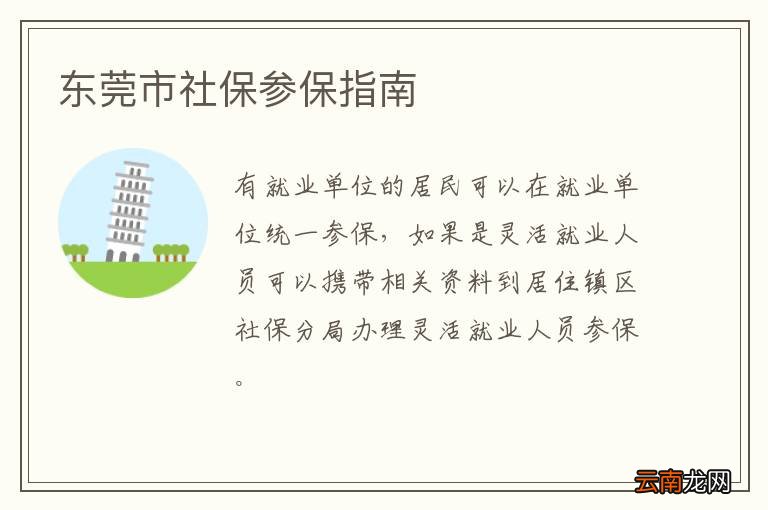 东莞市社保参保指南