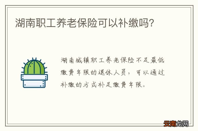 湖南职工养老保险可以补缴吗？