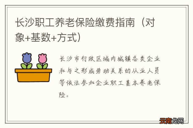 对象+基数+方式 长沙职工养老保险缴费指南