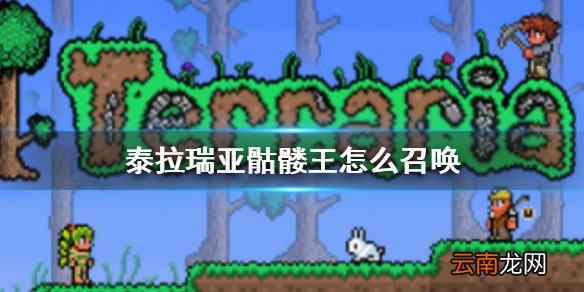 泰拉瑞亚骷髅王怎么召唤 泰拉瑞亚骷髅王BOSS介绍