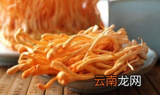 新鲜虫草花怎么保存 新鲜虫草花的保存方法