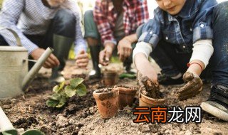 阳台种菜用什么土好 阳台种蔬菜用什么土