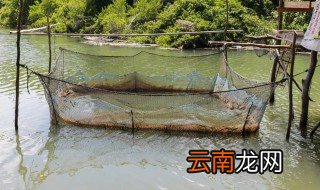河南地区适合养殖什么? 河南地区适合养殖什么