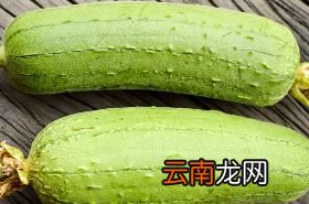 丝瓜