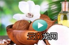 椰子 椰子鞋官方旗舰店