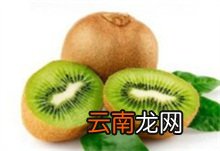 猕猴桃 猕猴桃有几个种植阶段