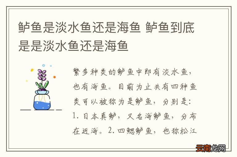 鲈鱼是淡水鱼还是海鱼 鲈鱼到底是是淡水鱼还是海鱼