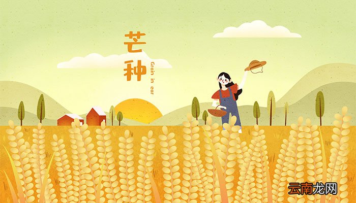 2020芒种是几月几日 2020芒种是几月几号